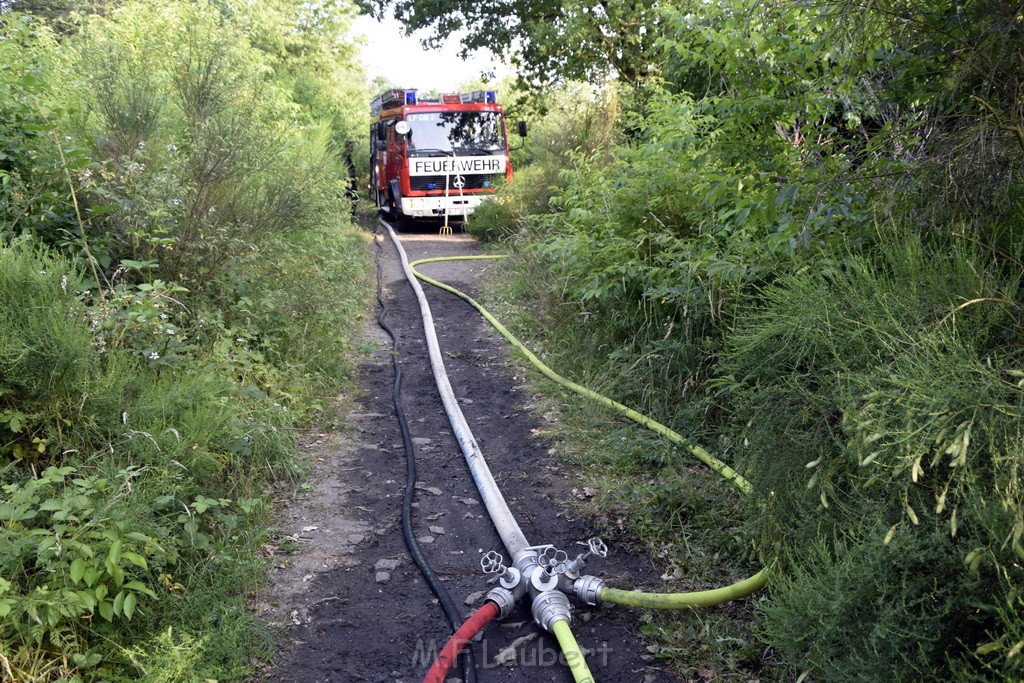 Waldbrand Koeln Hoehenhaus Hoehenfelder Mauspfad P156.JPG - Miklos Laubert